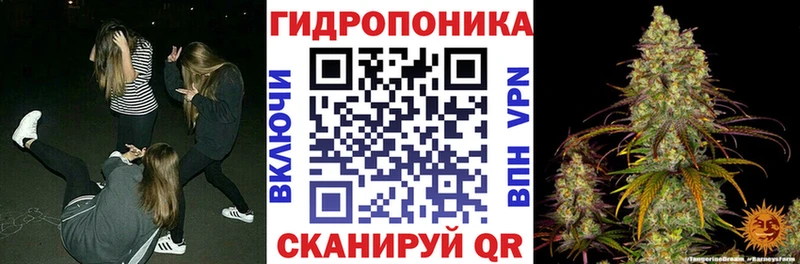 где можно купить   Южно-Сухокумск  МАРИХУАНА Amnesia 